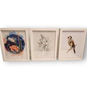 Lot of 3 White Framed Bird & Floral Prints – Goldfinch Theme – 9″×11″ Each